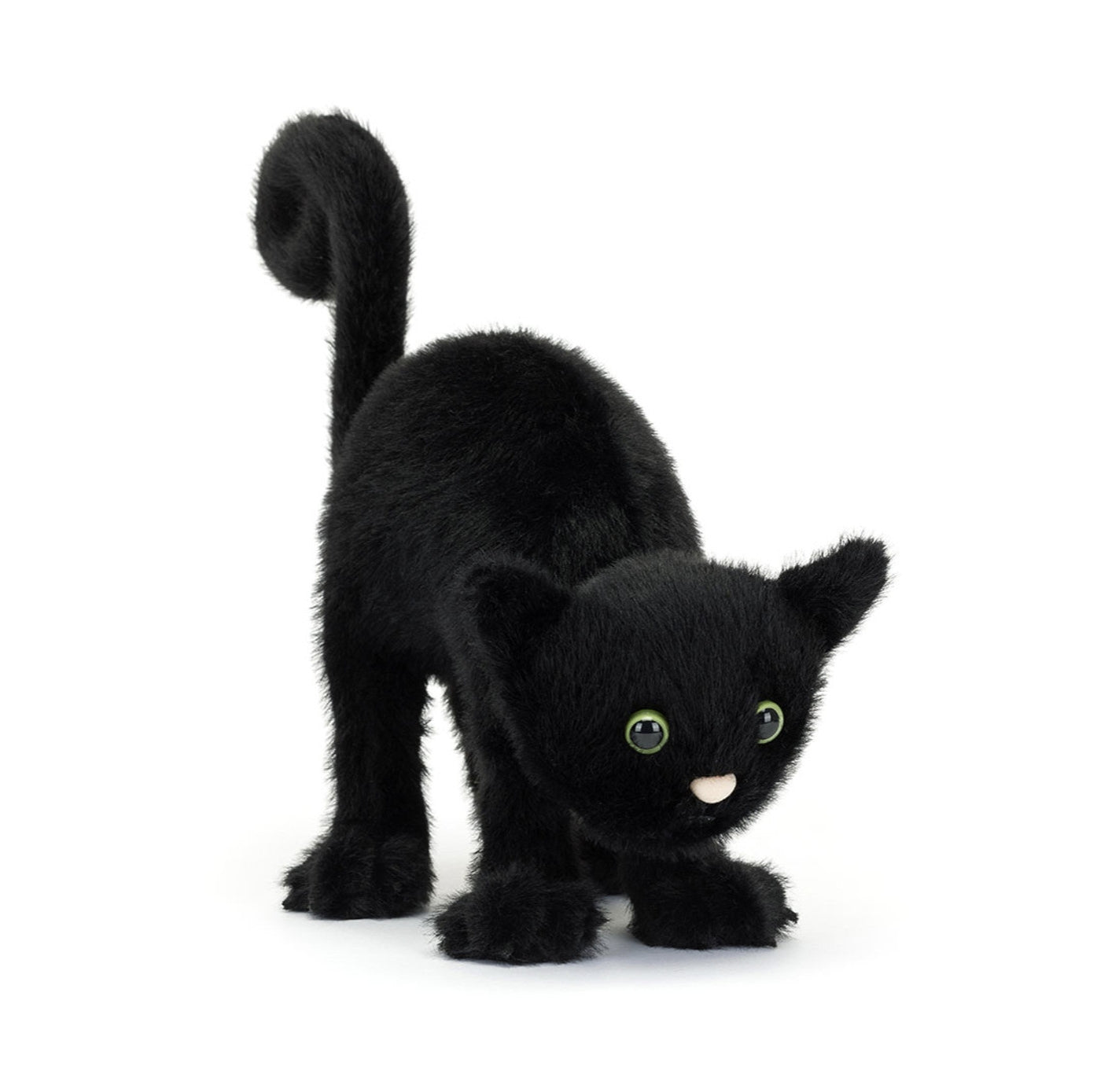 Spookipaws Cat