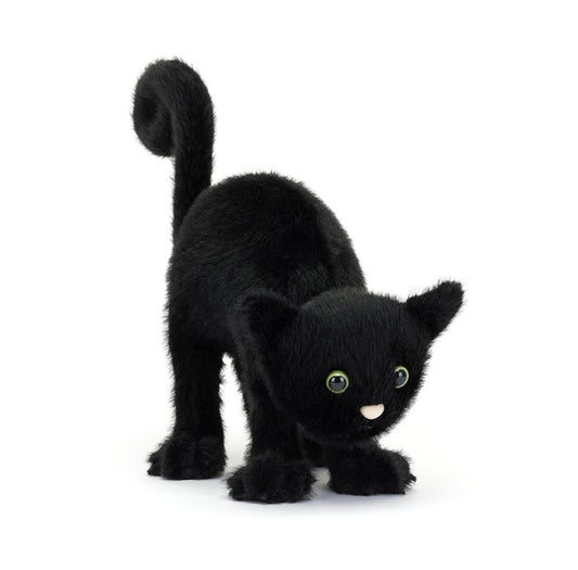 Spookipaws Cat