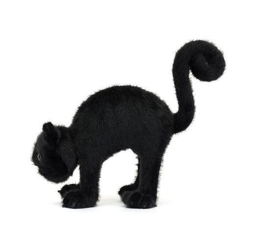 Spookipaws Cat